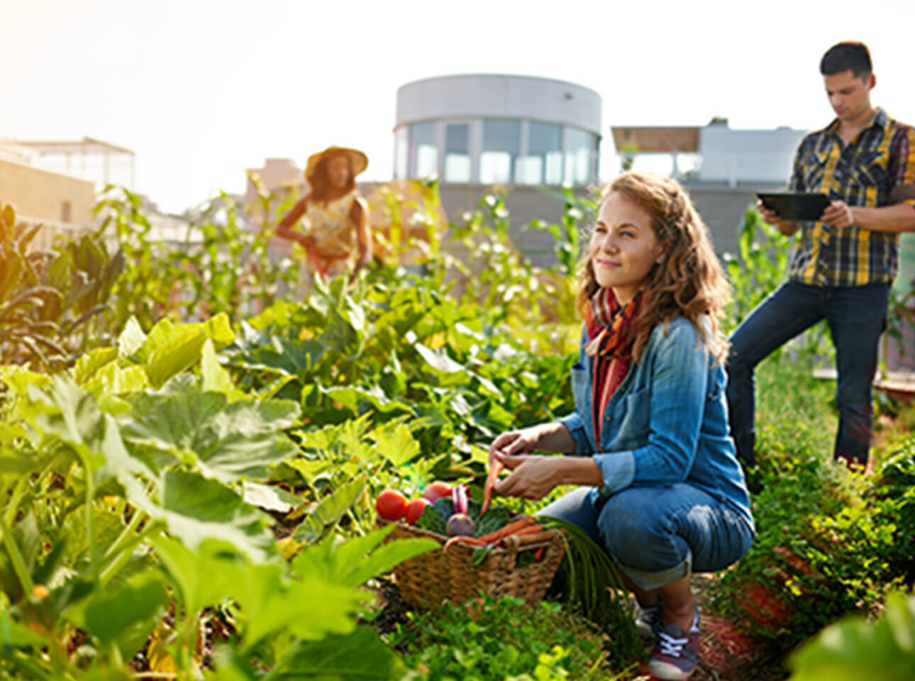 Fogadj örökbe egy városi zöldterületet!