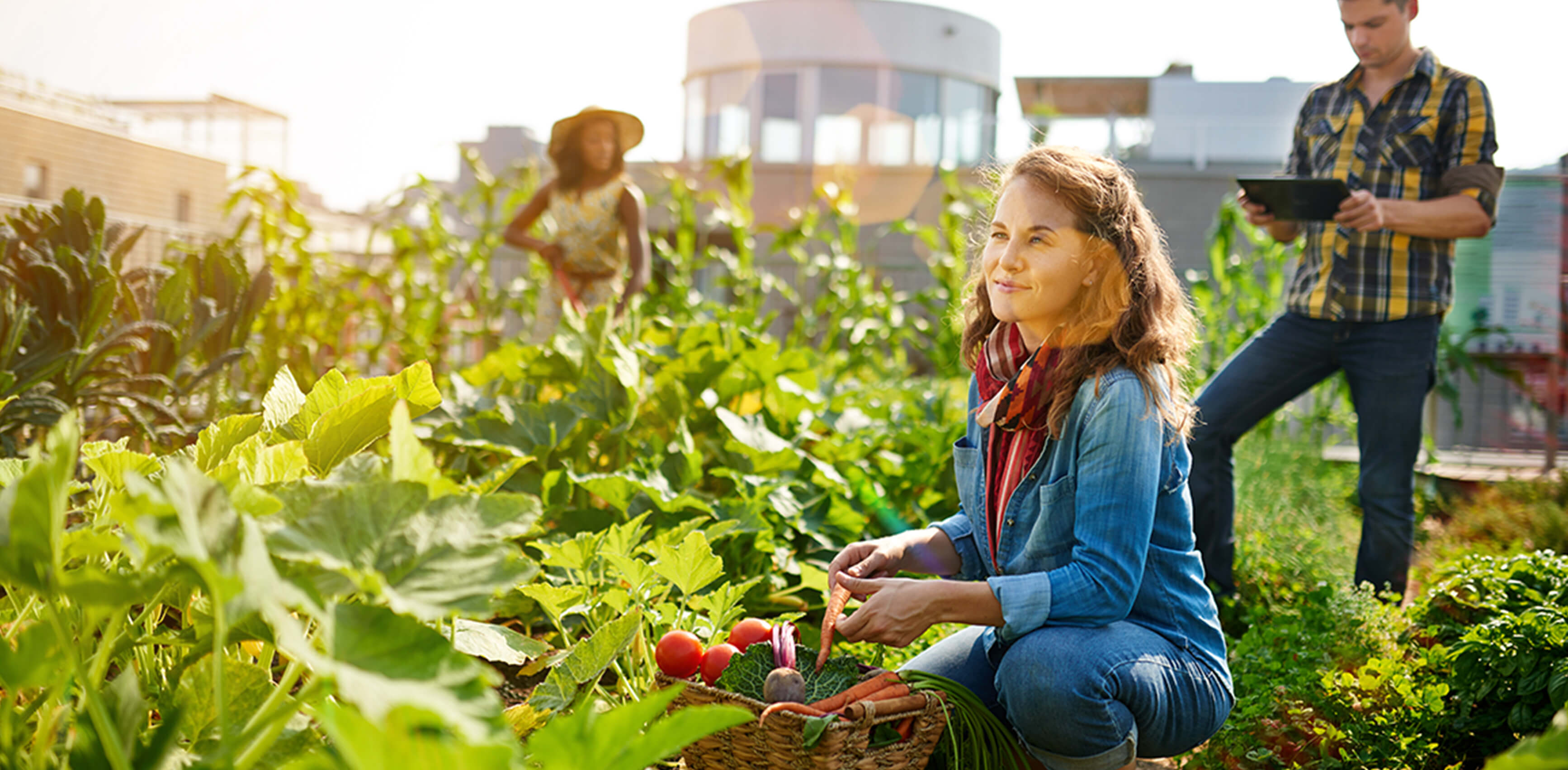 Fogadj örökbe egy városi zöldterületet!