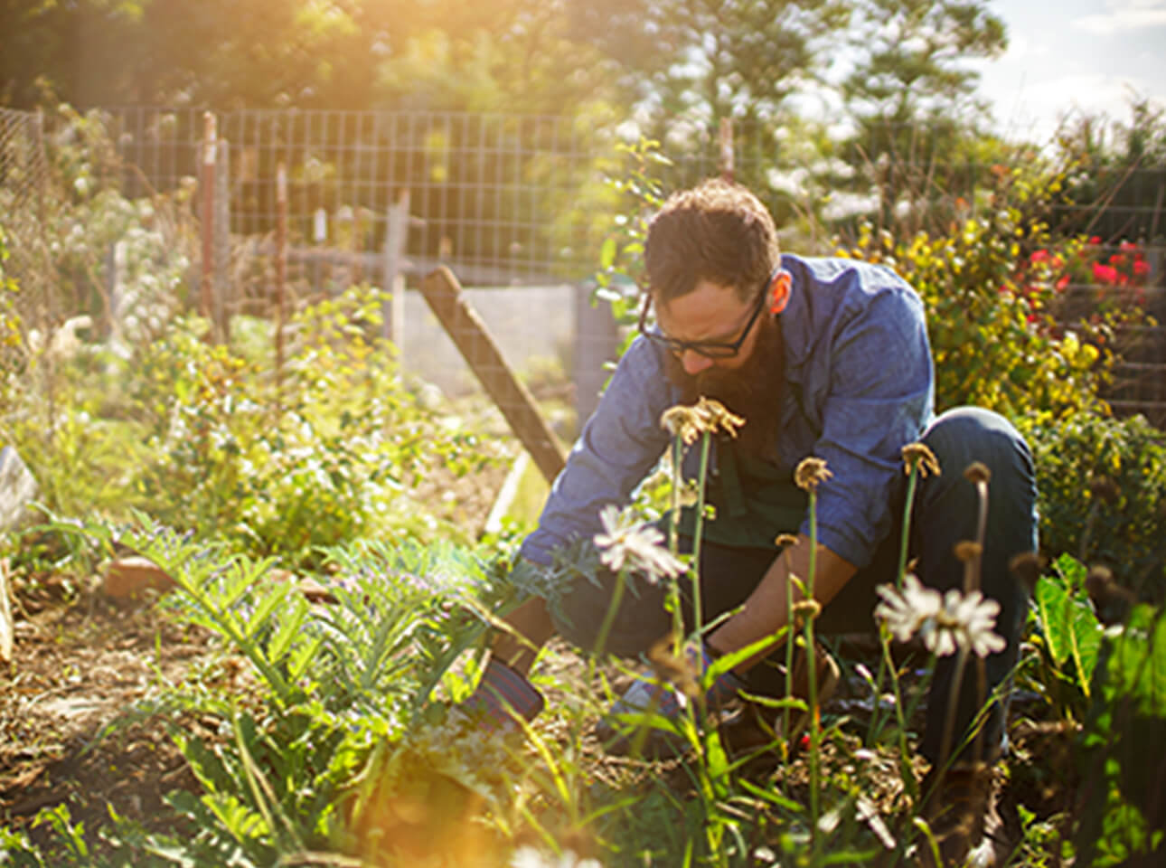 Vágyott vidék - fővárosból kitelepülők meséltek őszintén a döntésükről