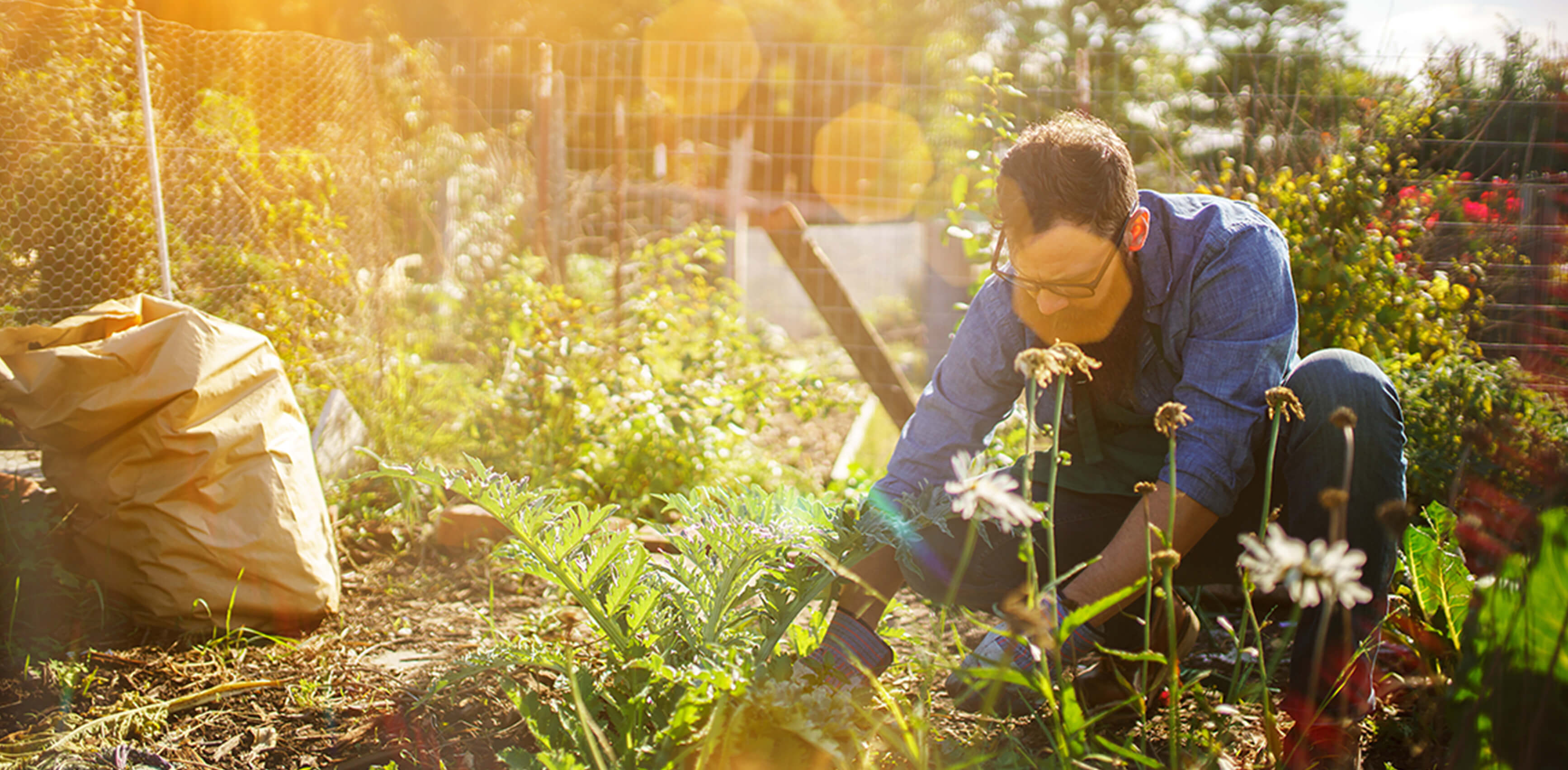 Vágyott vidék - fővárosból kitelepülők meséltek őszintén a döntésükről
